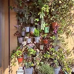 Botanical Alojamento de Acomodação e Pequeno-almoço 4*