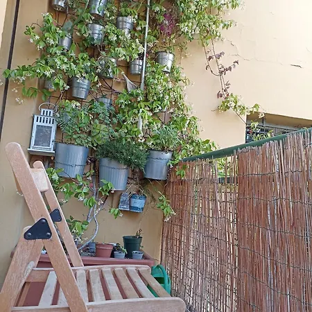 Bed & Breakfast Botanical