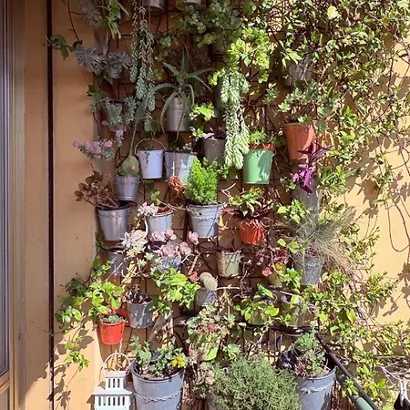 Botanical Nocleg ze śniadaniem 4*