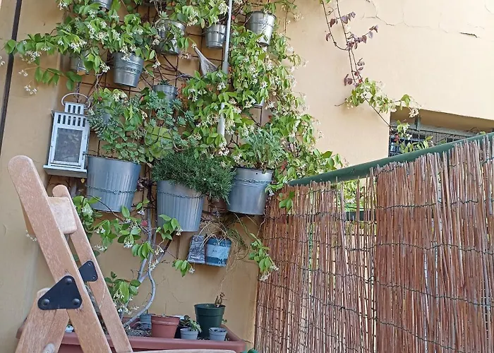 Bed and breakfast Botanical